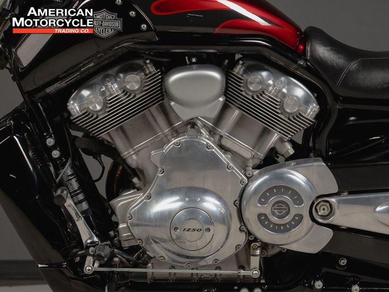 V-Rod® Muscle