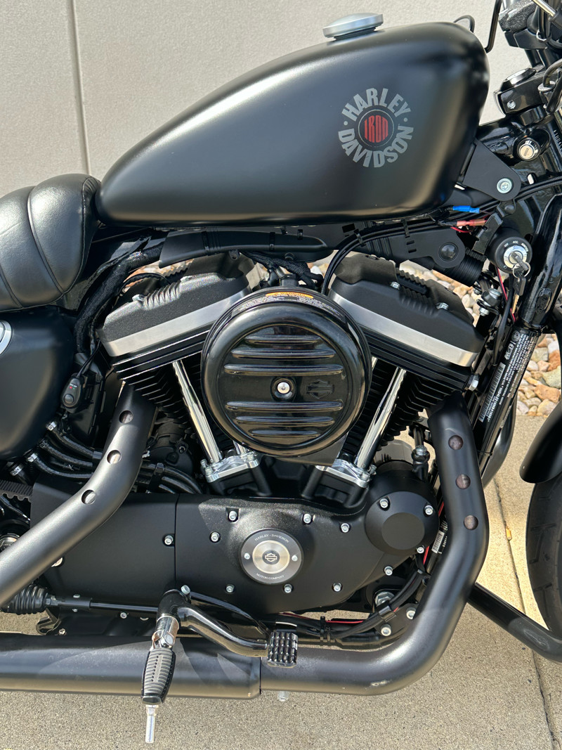 Iron 883®