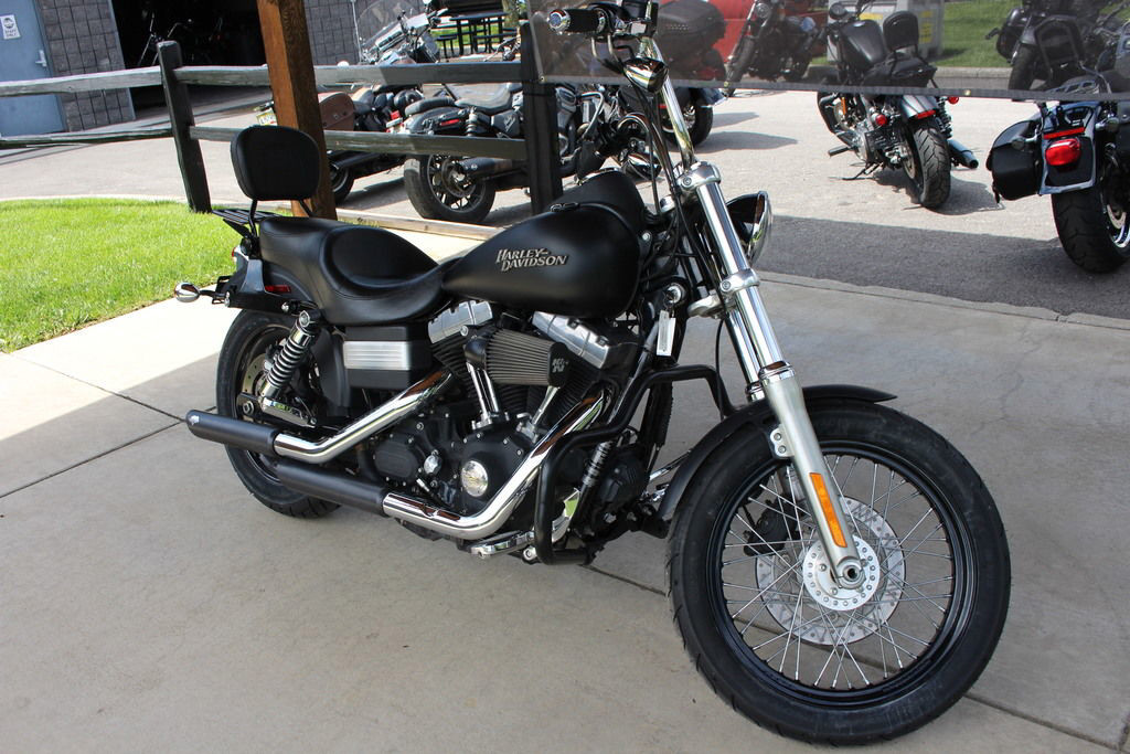 Dyna® Street Bob®