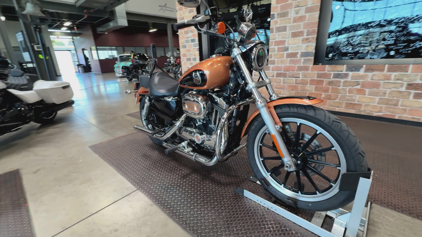 Sportster® 1200 Low Anniversary