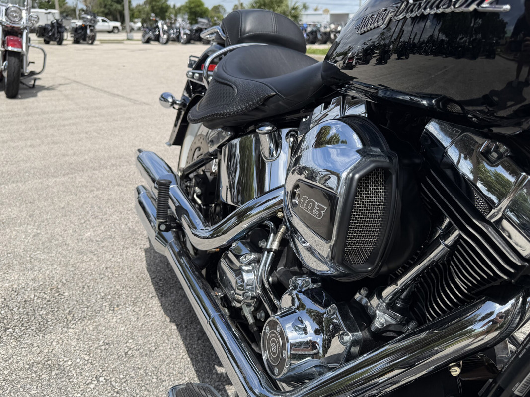 Softail® Deluxe