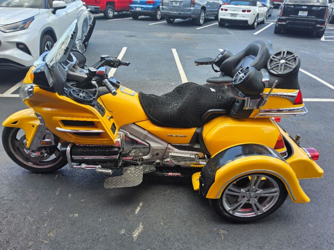 Gold Wing