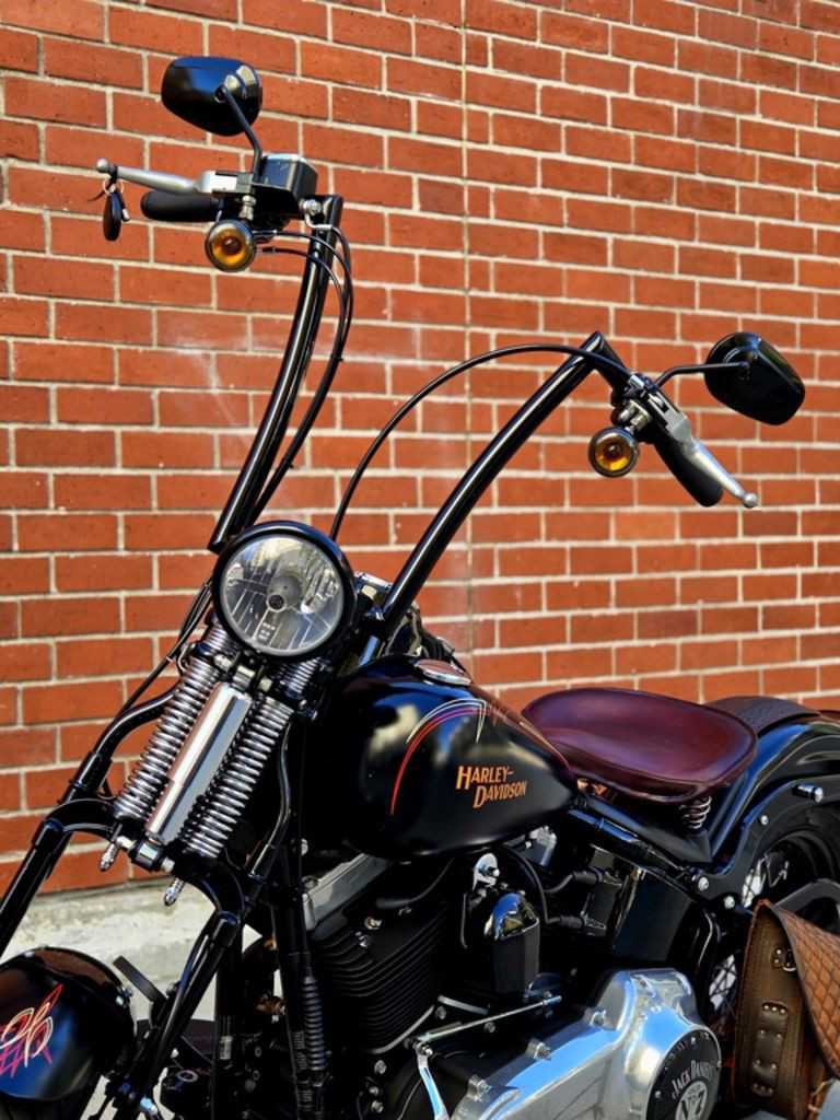 Softail® Cross Bones®