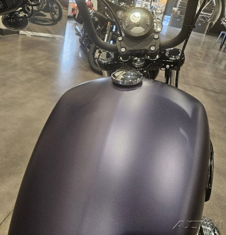 Street Bob®