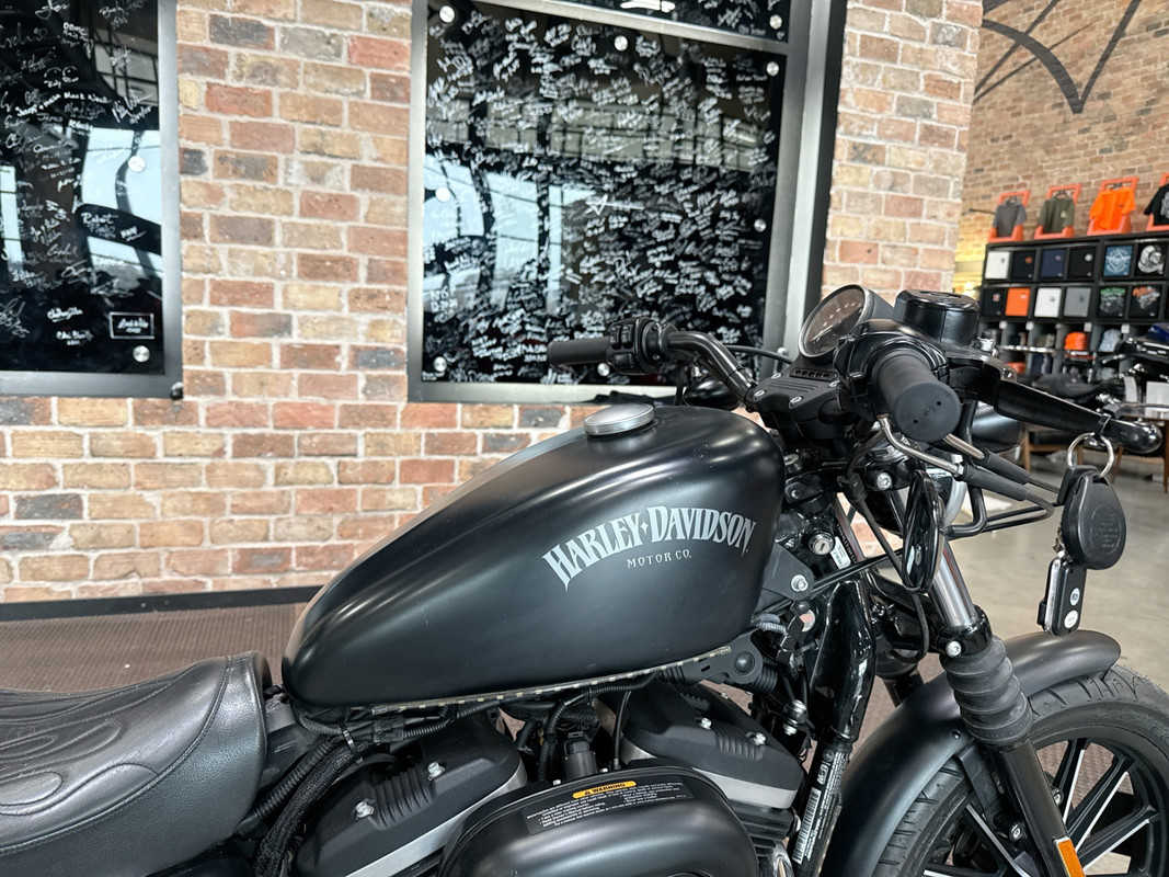 Sportster® Iron 883®