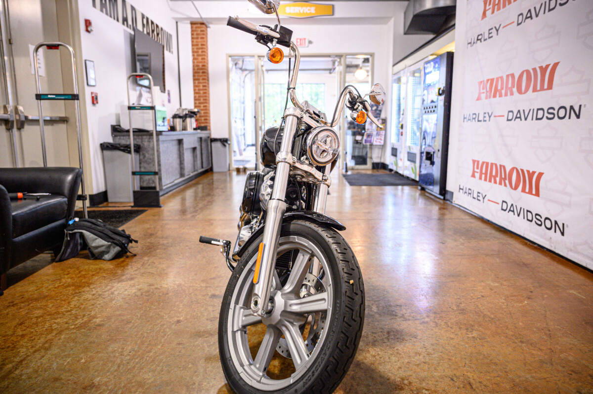 Softail® Standard