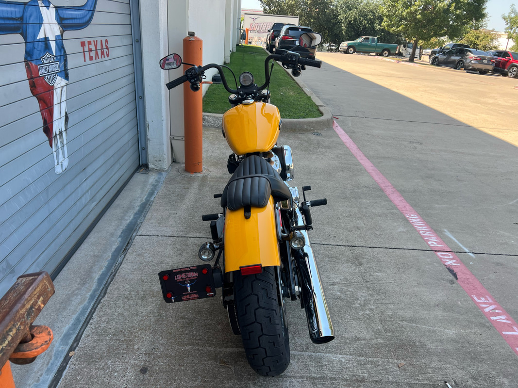 Street Bob®