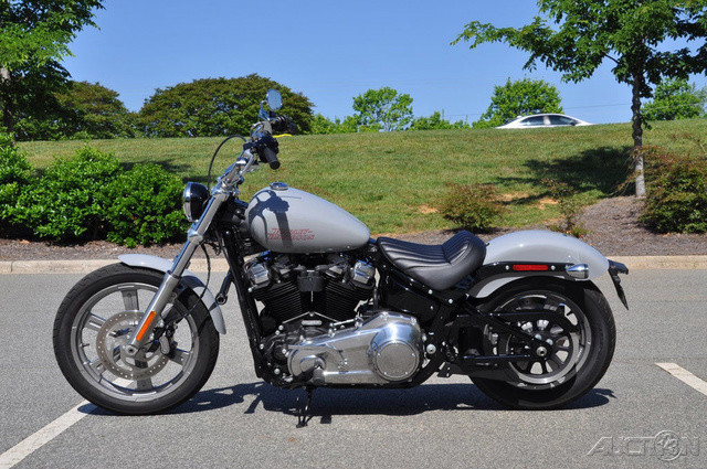 Softail® Standard