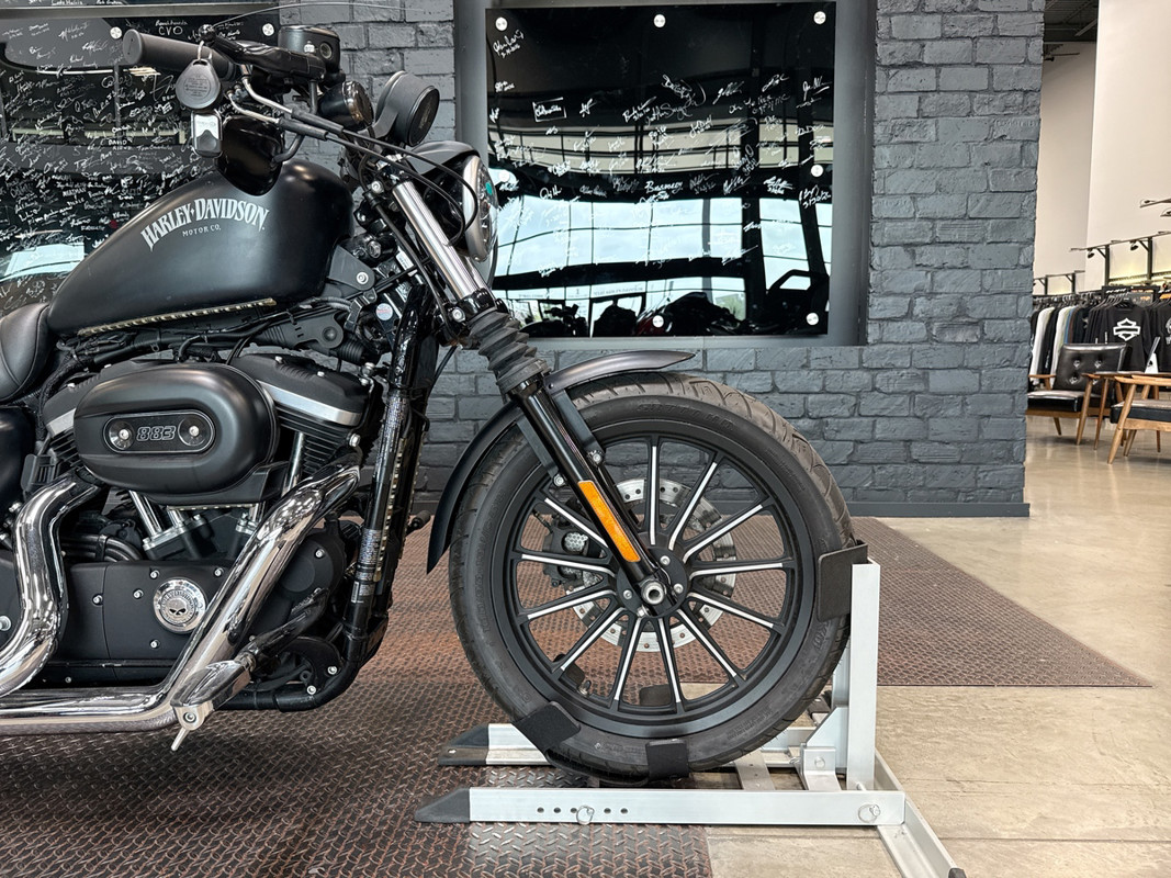 Sportster® Iron 883®
