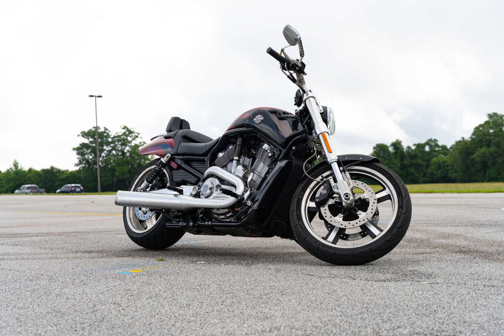 V-Rod® Muscle