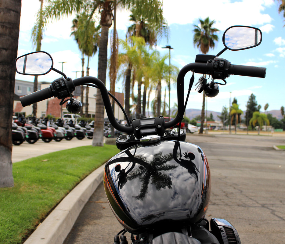 Street Bob® 114
