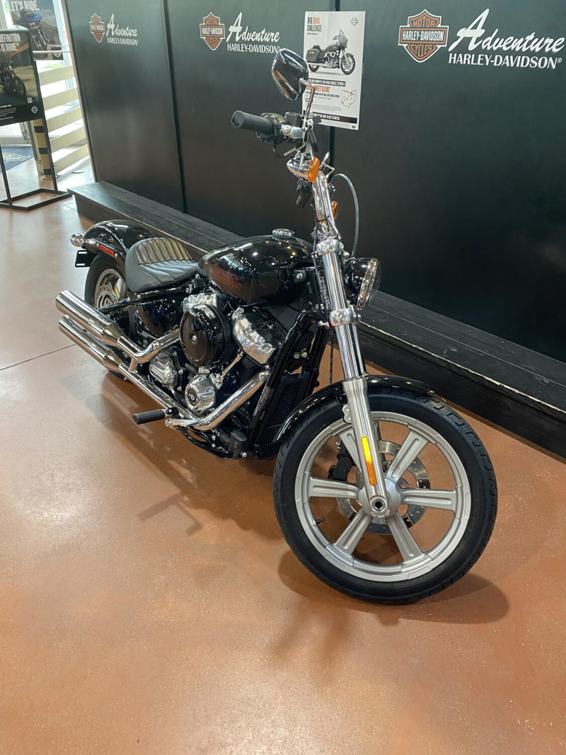 Softail® Standard