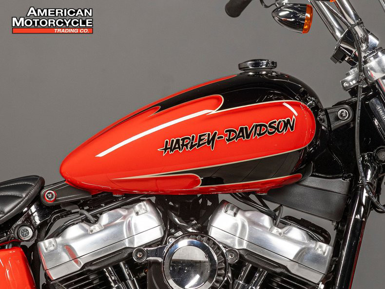 Softail® Standard