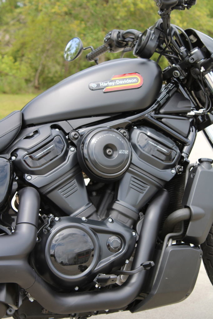 Nightster Special