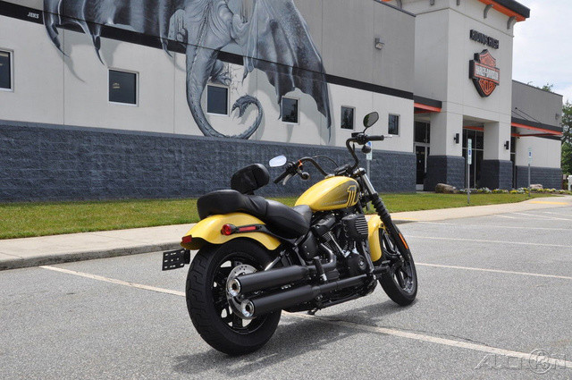 Street Bob® 114