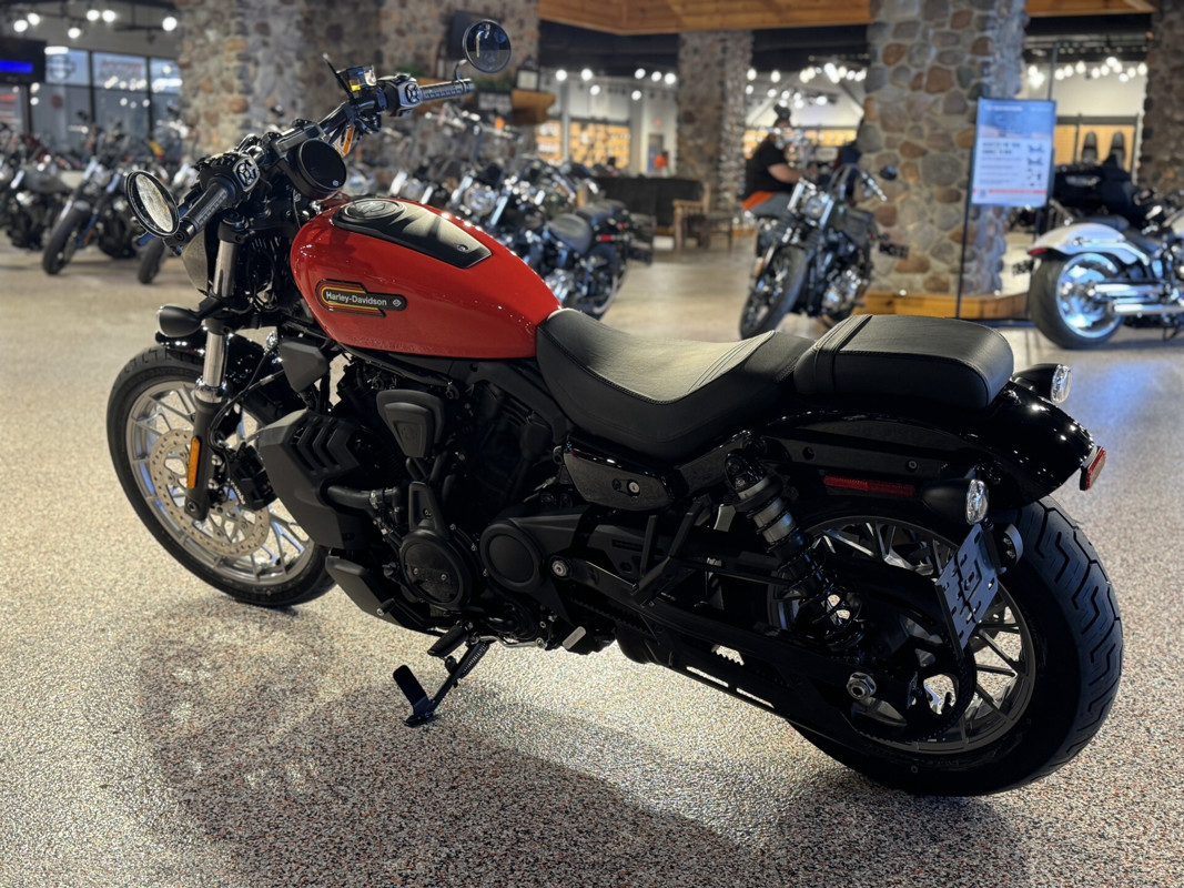 Nightster Special