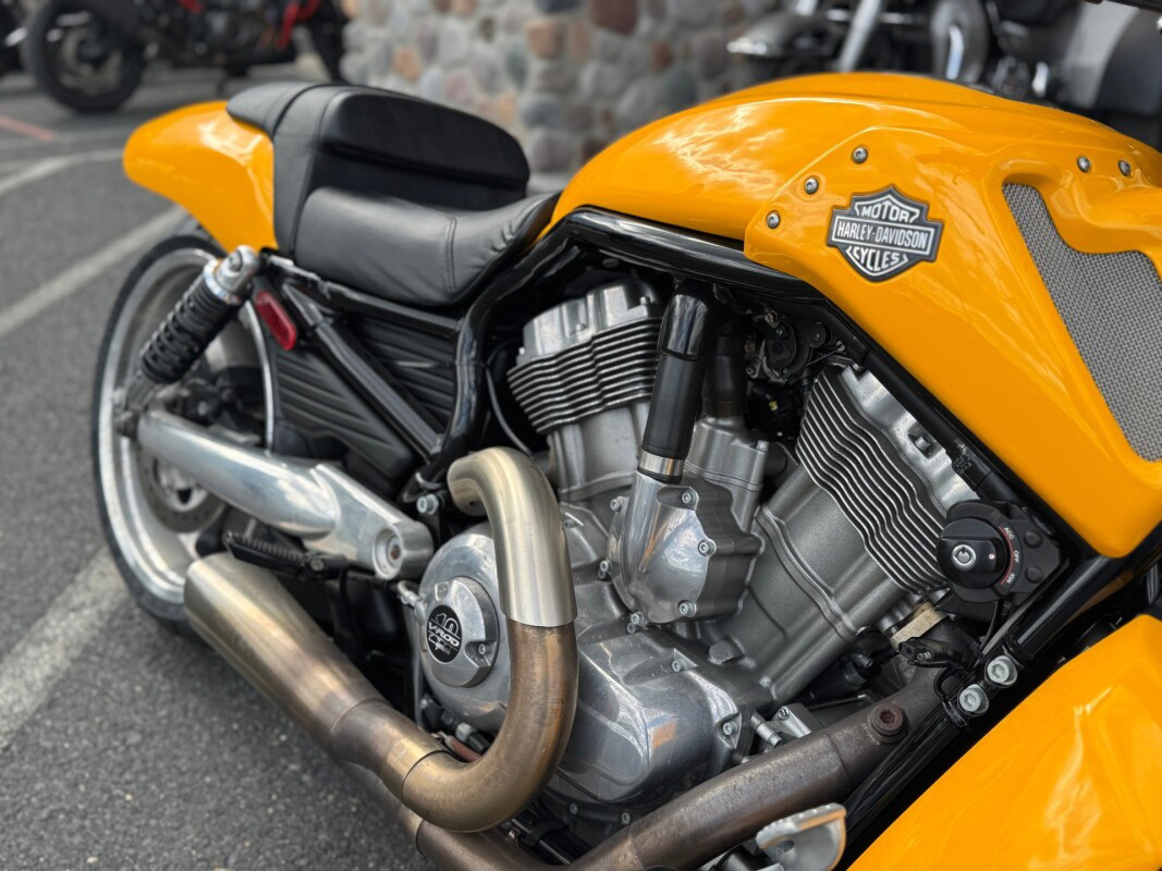 V-Rod® Muscle®