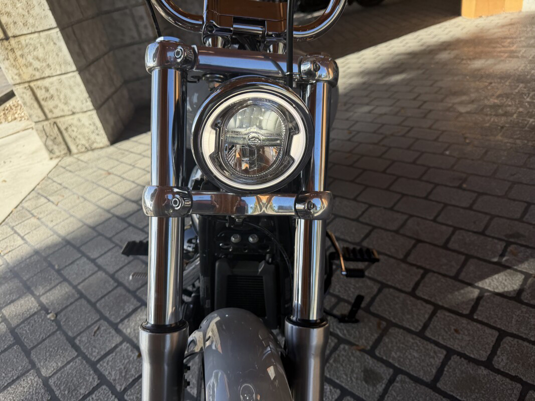 Softail® Standard