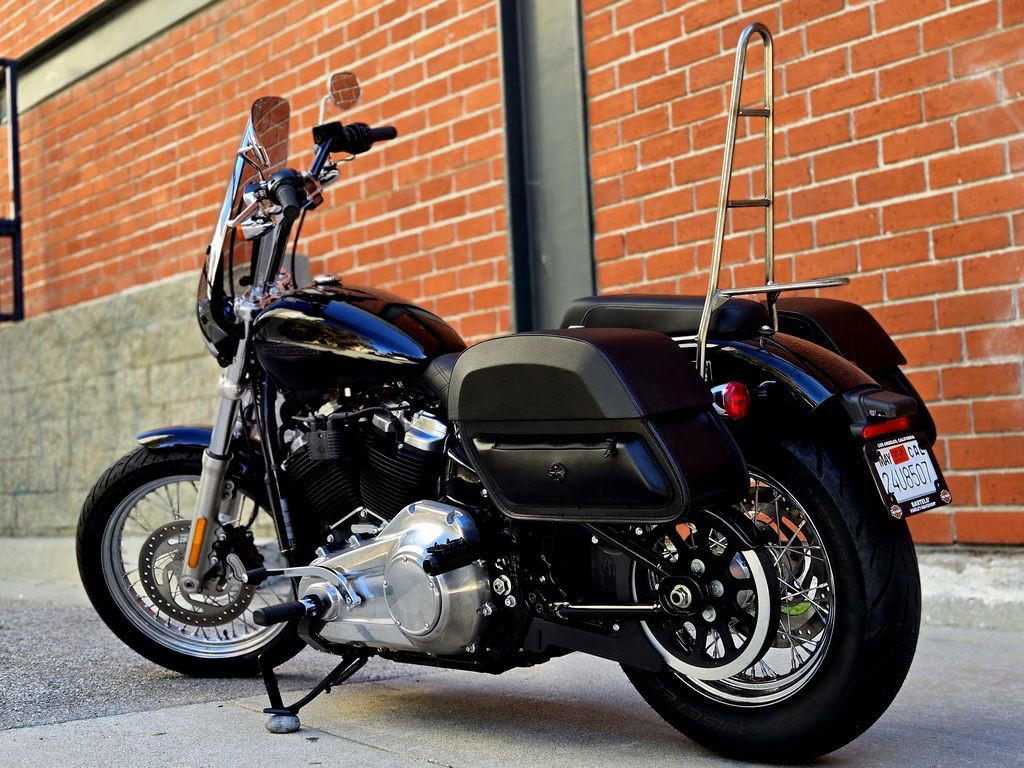 Softail® Standard