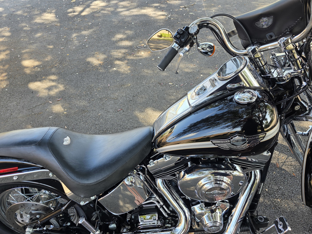 Springer® Softail® Anniversary