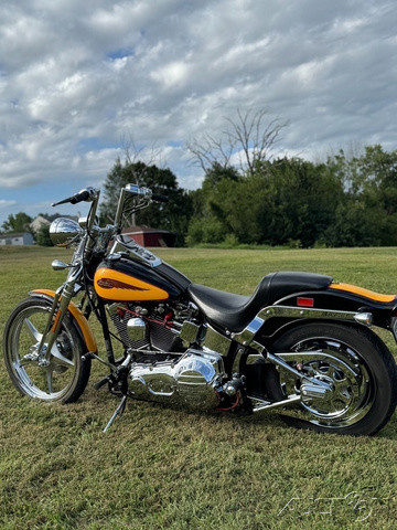 Softail® Springer® 