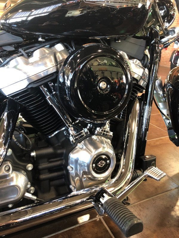 Softail® Standard