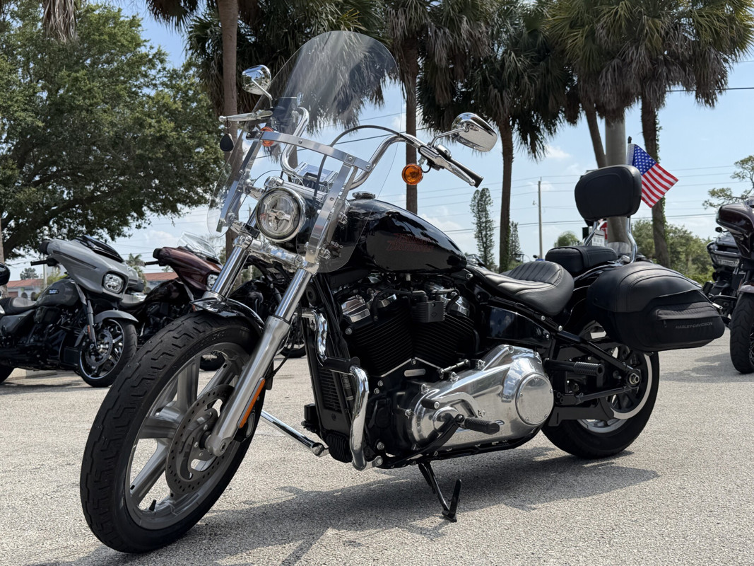 Softail® Standard