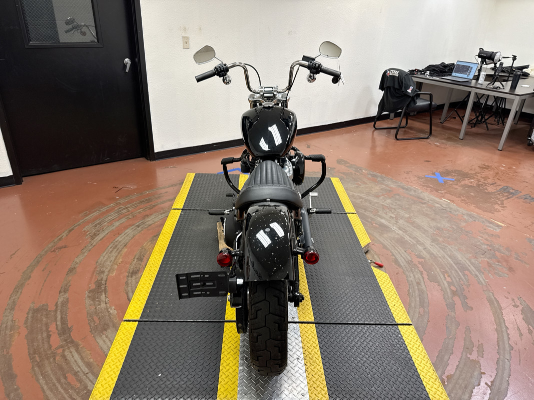 Softail® Standard