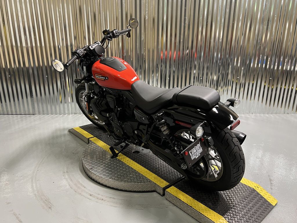 Nightster Special