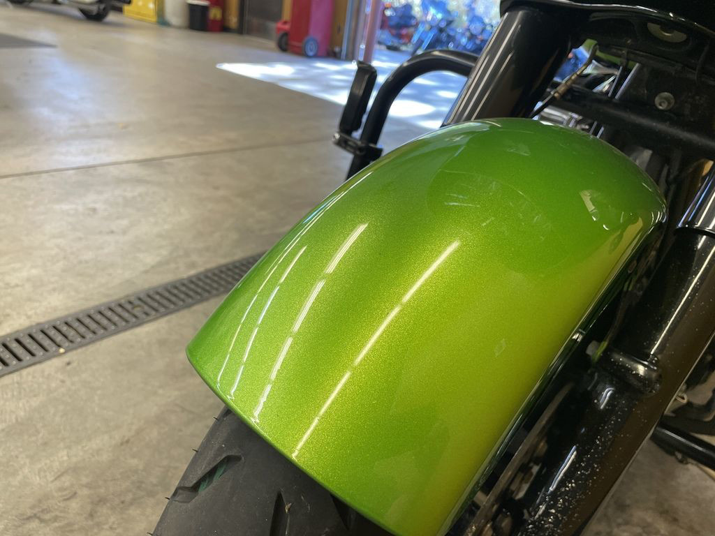 Road Glide® Special