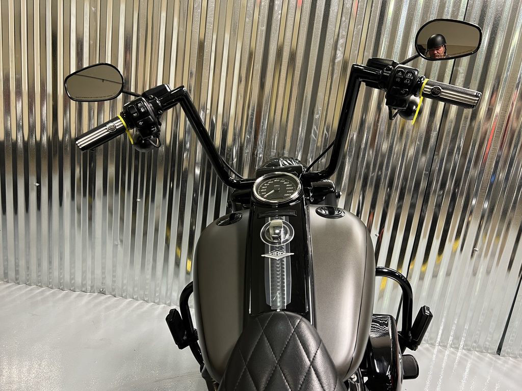 Road King® Special