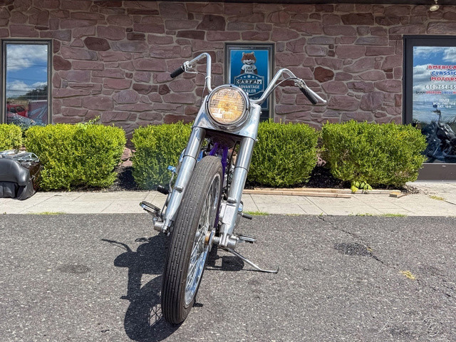 Electra Glide® Police