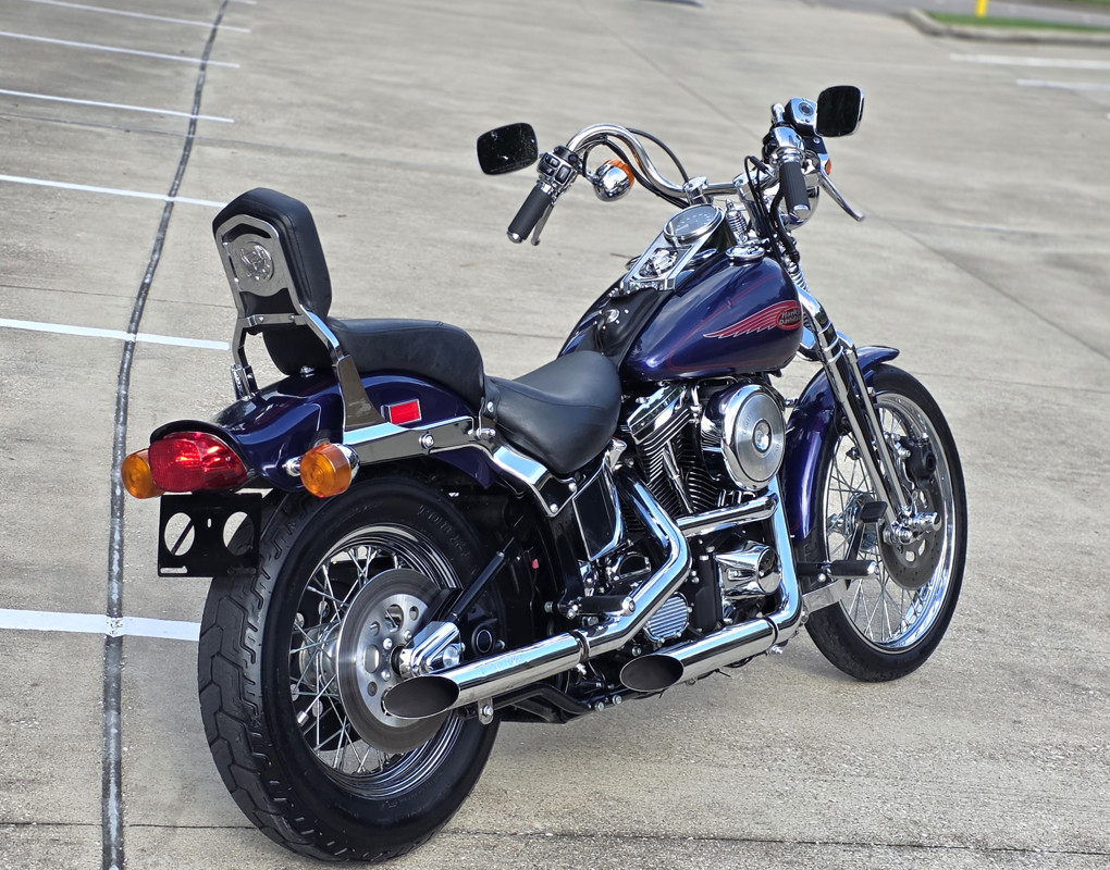 Springer® Softail®