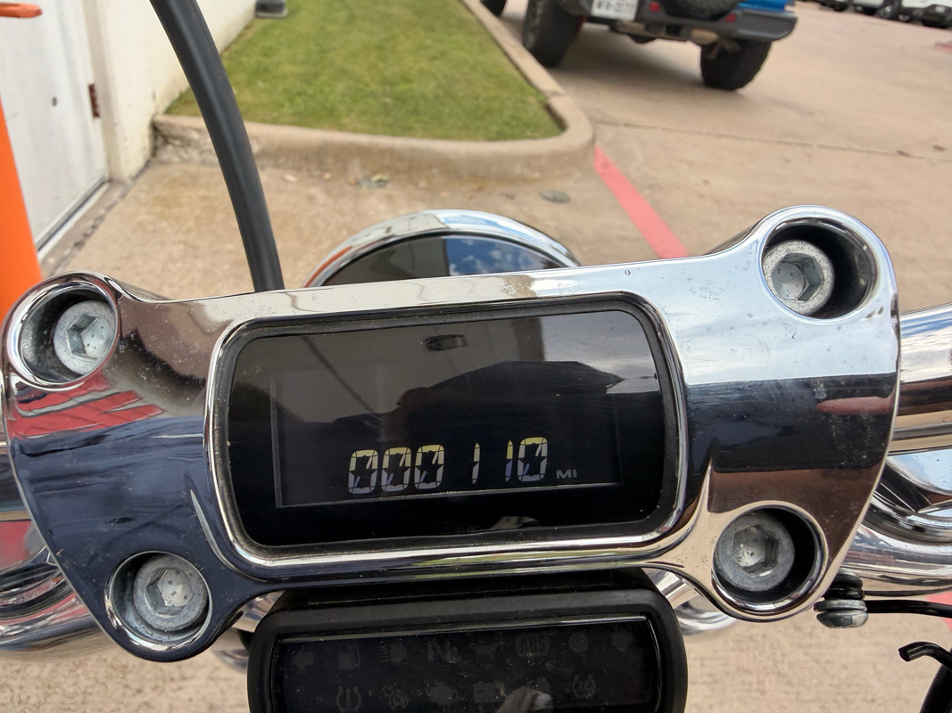 Softail® Standard