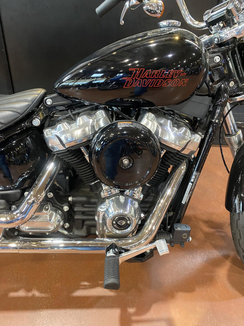 Softail® Standard
