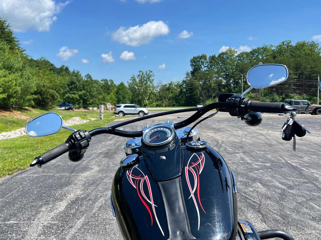 Softail® Slim®