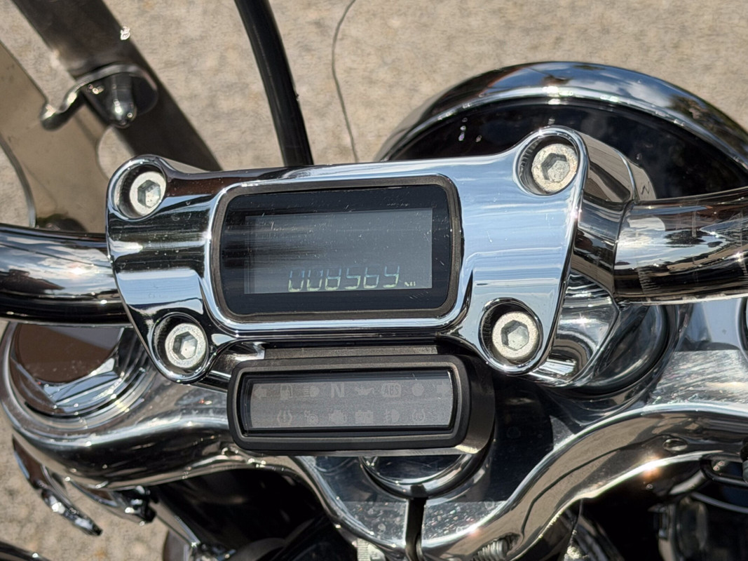 Softail® Standard