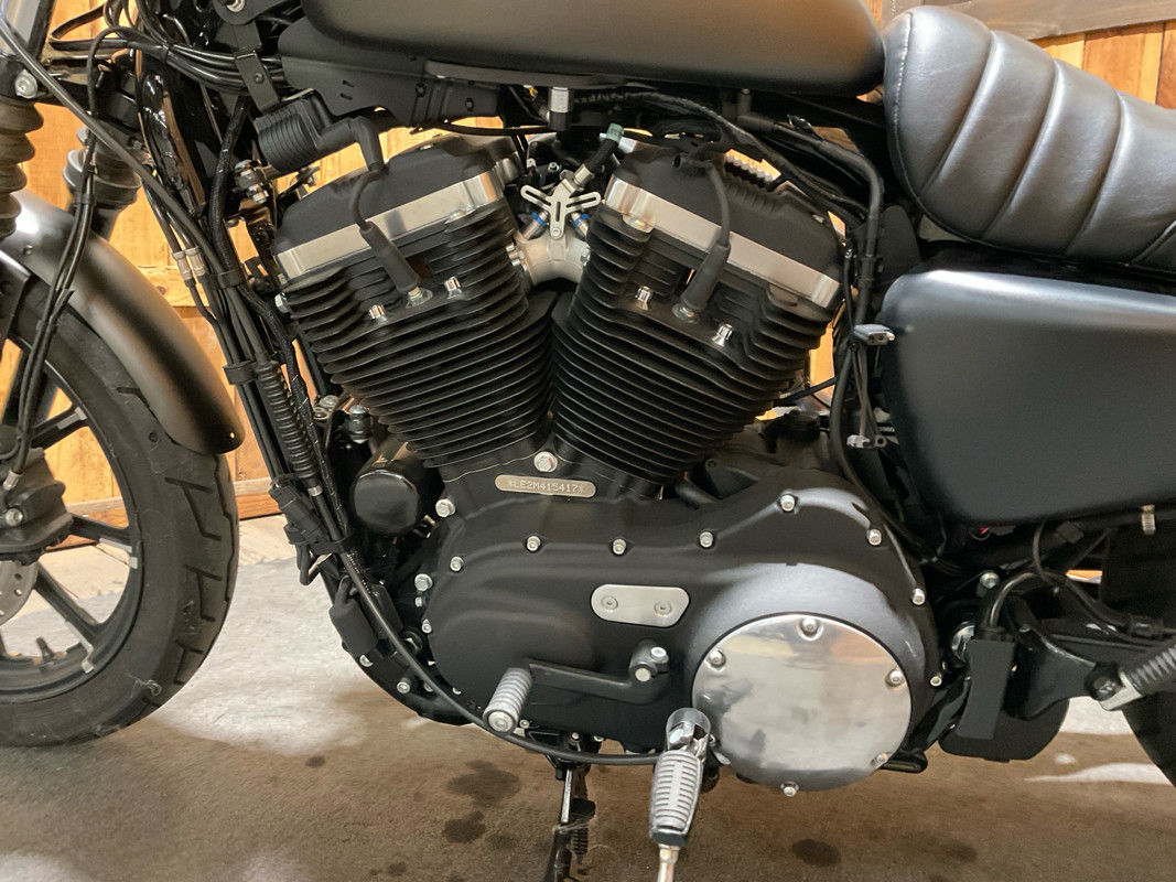 Iron 883®