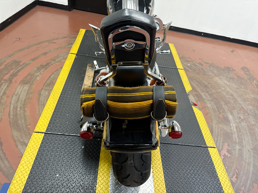 Screamin' Eagle® Softail® Springer®