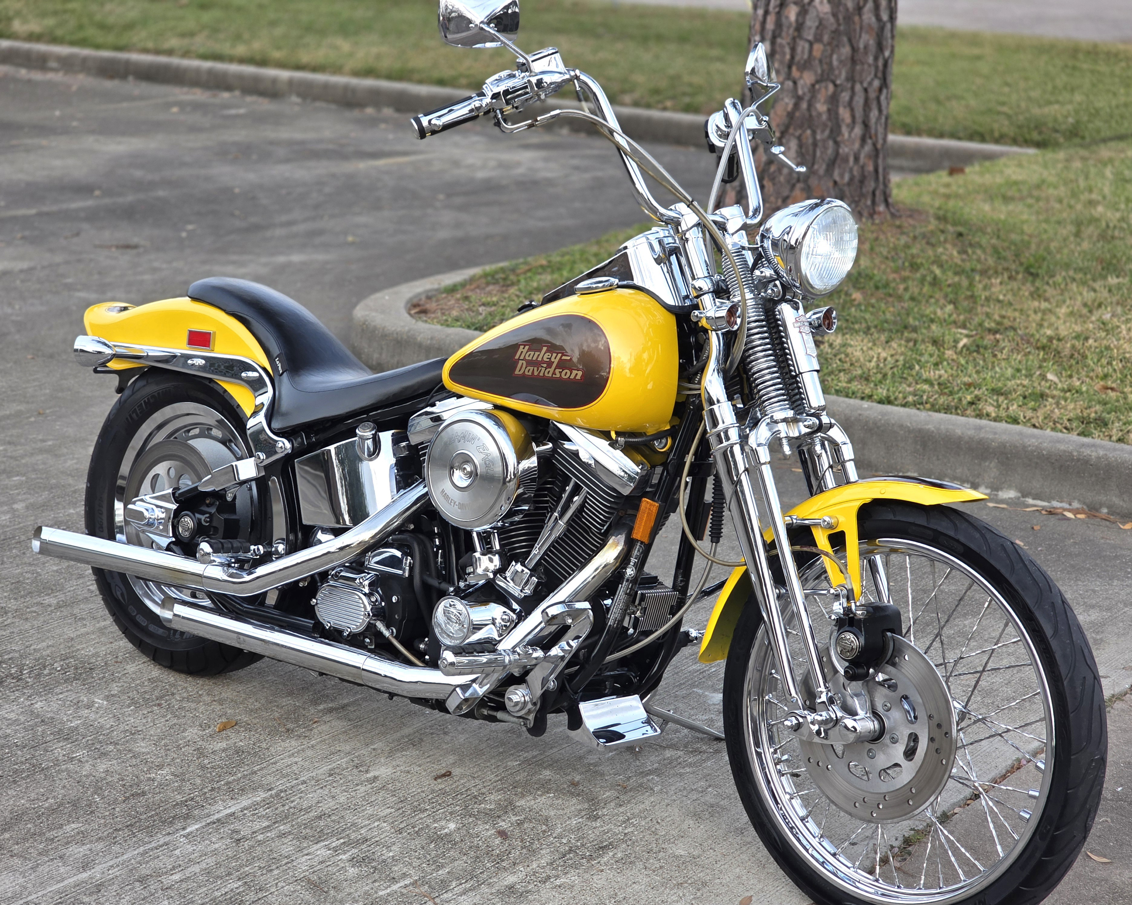 1999 Harley-Davidson® FXSTS Springer® Softail® for Sale in Houston, TX ...