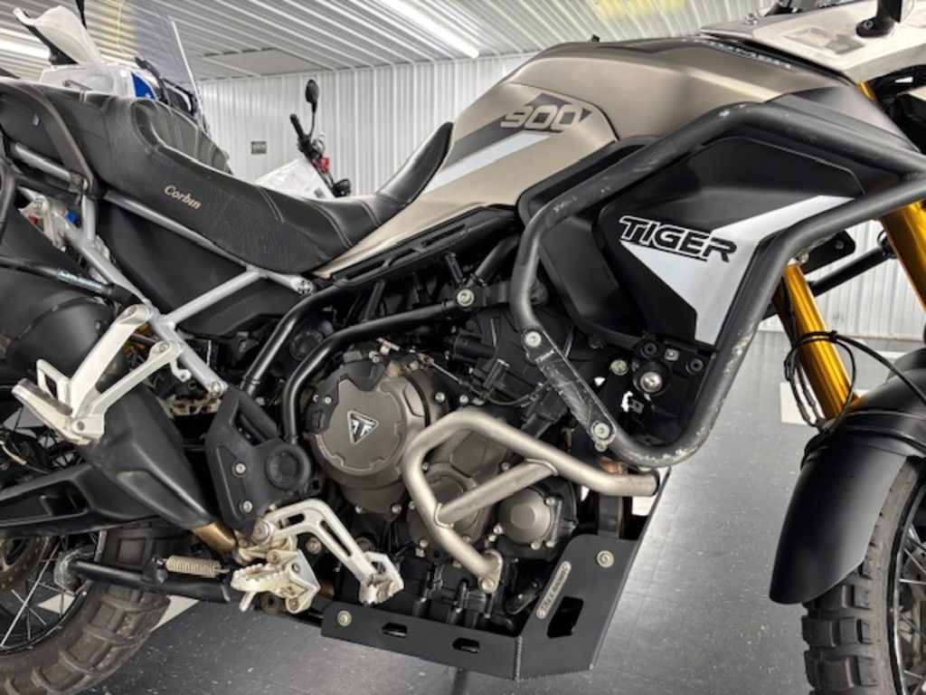 Tiger 900 Rally
