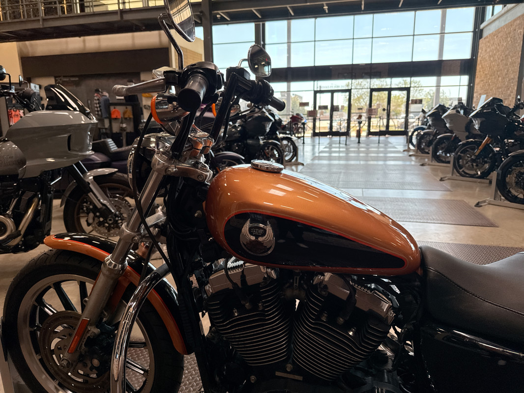 Sportster® 1200 Low Anniversary