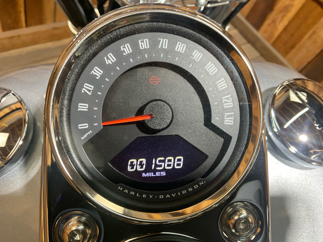 Softail® Low Rider®