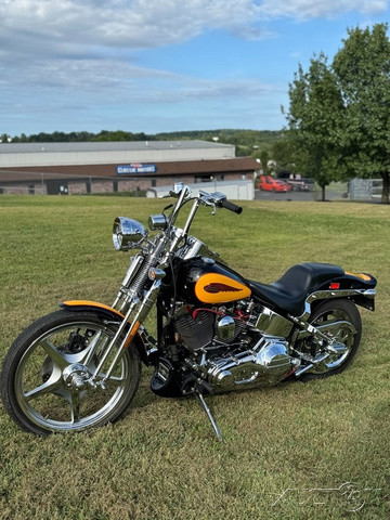 Softail® Springer® 