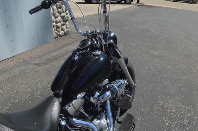 Softail® Slim®