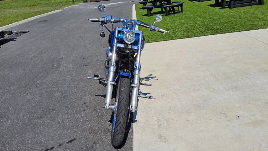 Softail® Custom