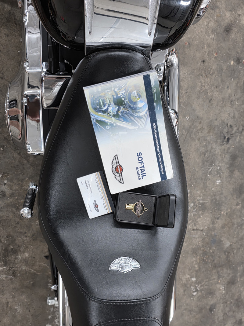 Springer® Softail® Anniversary