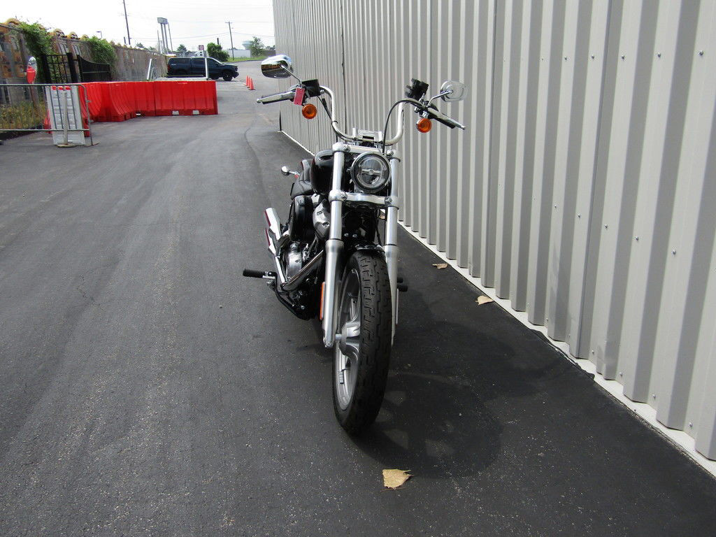 Softail® Standard
