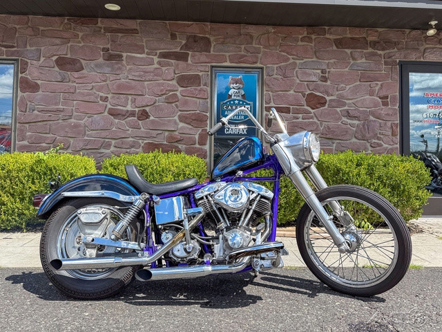 Electra Glide® Police