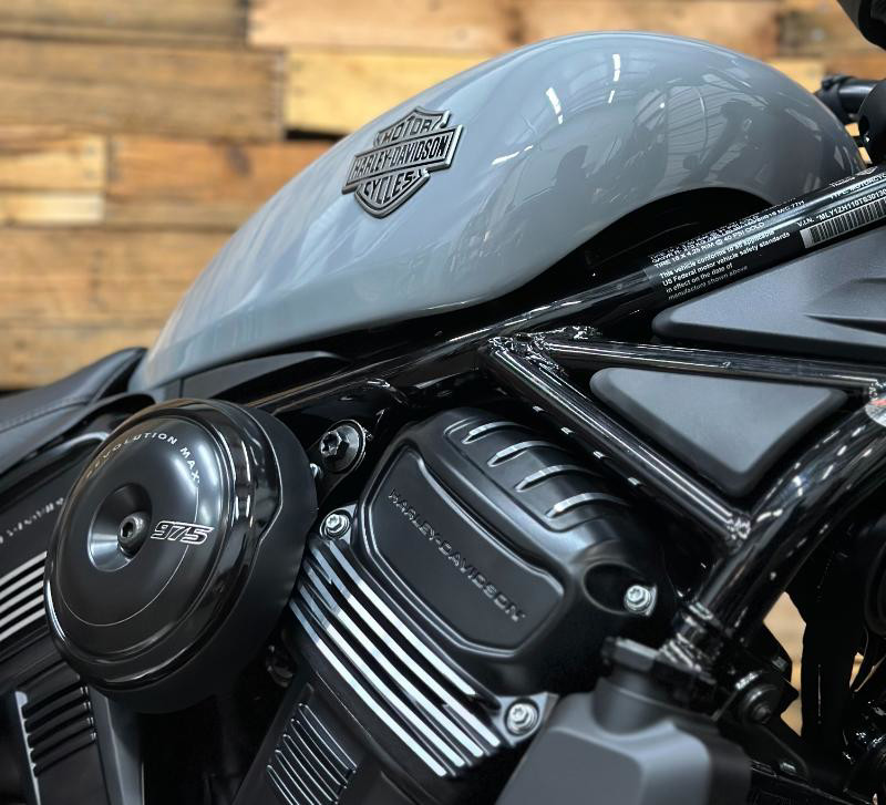Nightster